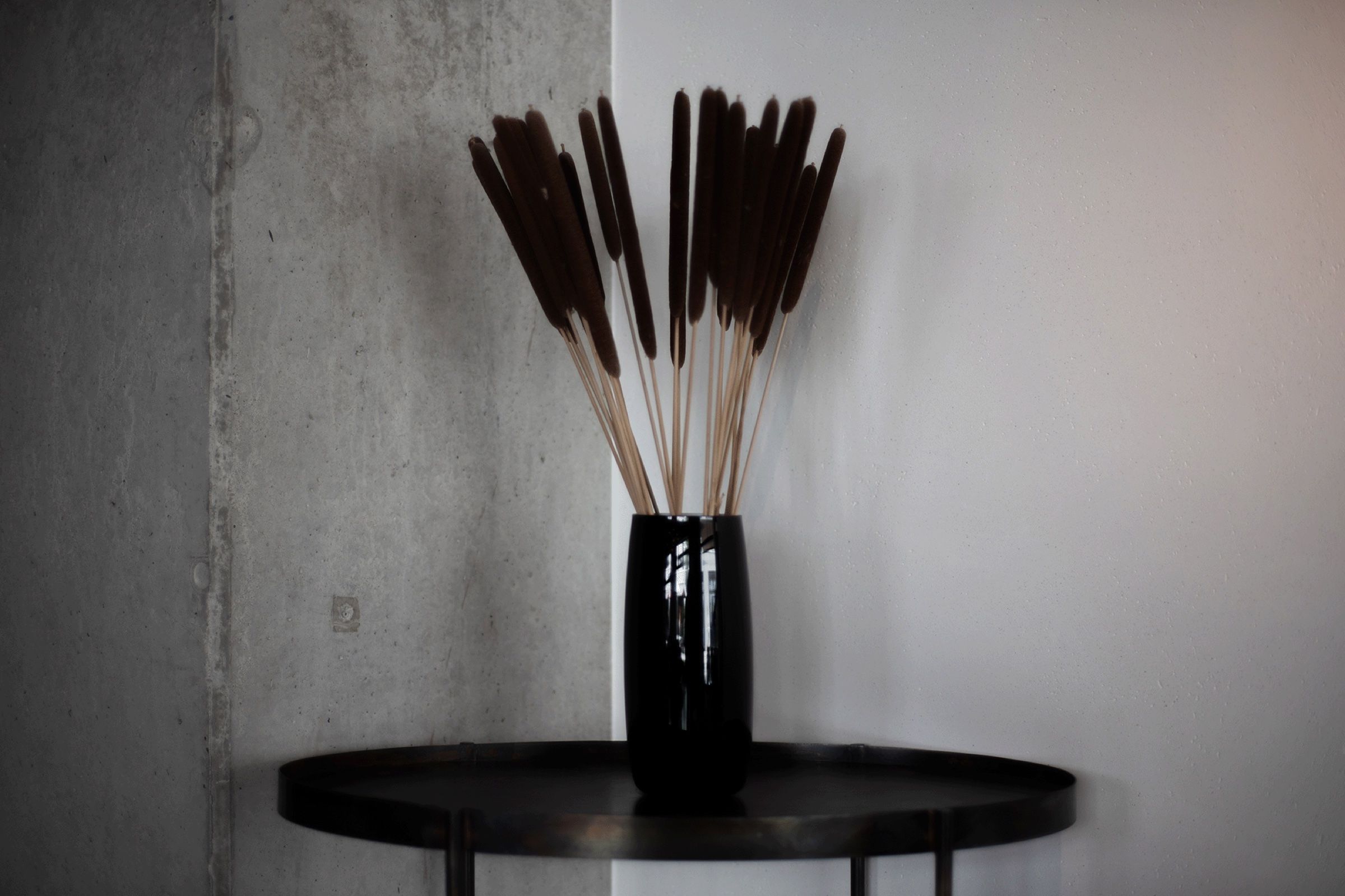 Stillleben mit Trockengräsern in einer Vase vor Betonwand